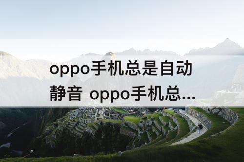 oppo手机总是自动静音 oppo手机总是自动静音怎么回事