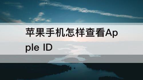 苹果手机怎样查看Apple ID