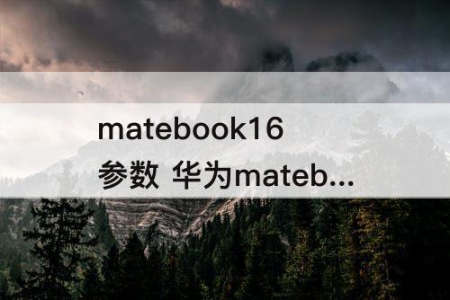 matebook16参数 华为matebook16参数 CREM WFG9