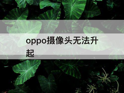 oppo摄像头无法升起