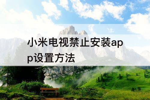 小米电视禁止安装app设置方法