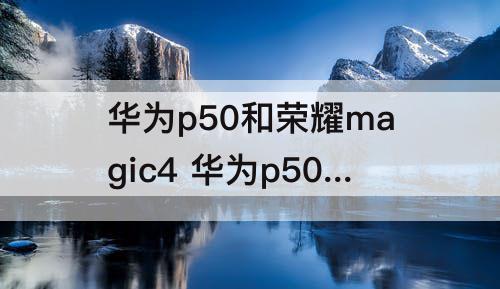 华为p50和荣耀magic4 华为p50和荣耀magic4pro远处拍照