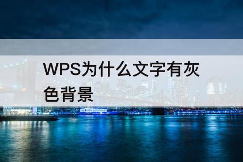 WPS为什么文字有灰色背景