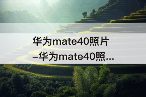 华为mate40照片-华为mate40照片带水印日期