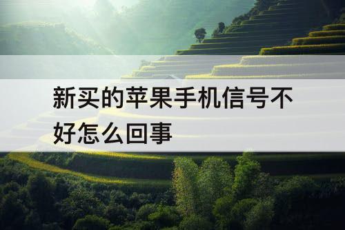 新买的苹果手机信号不好怎么回事