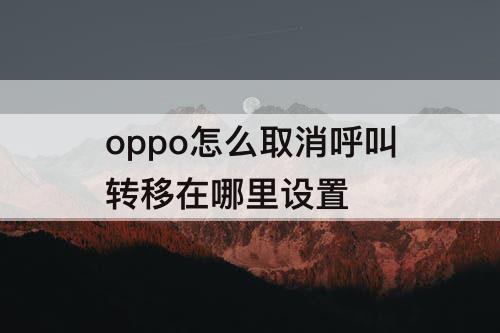 oppo怎么取消呼叫转移在哪里设置