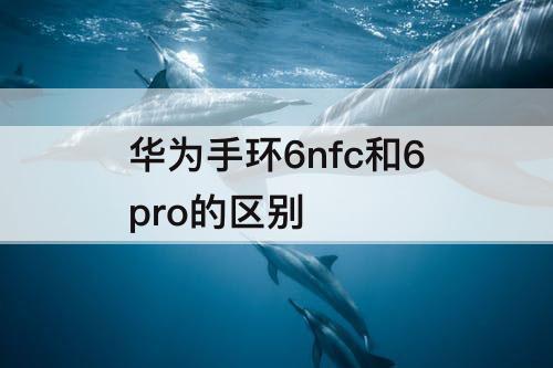 华为手环6nfc和6pro的区别