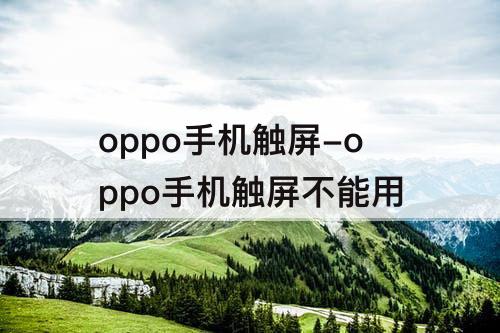 oppo手机触屏-oppo手机触屏不能用