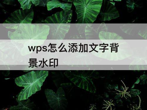 wps怎么添加文字背景水印