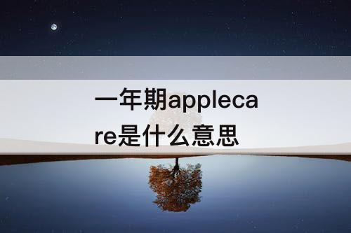 一年期applecare是什么意思