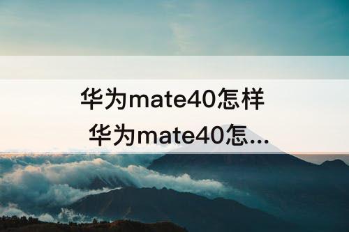 华为mate40怎样 华为mate40怎样调出返回键