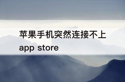 苹果手机突然连接不上app store