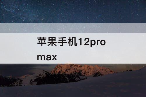 苹果手机12pro max