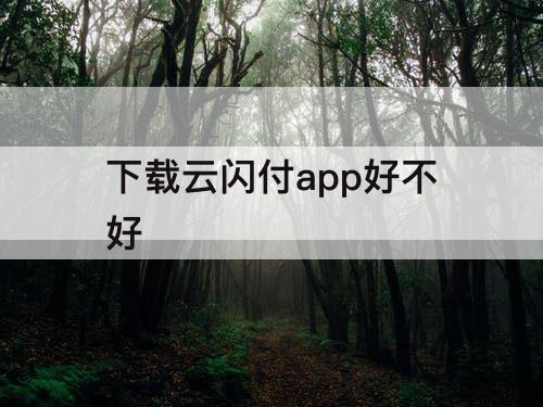 下载云闪付app好不好