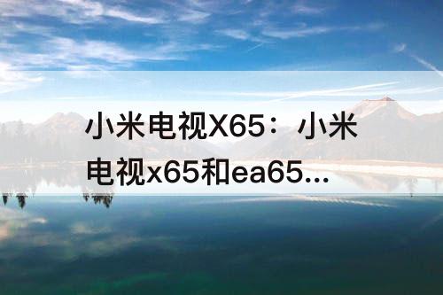 小米电视X65：小米电视x65和ea65哪个好