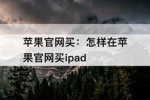 苹果官网买：怎样在苹果官网买ipad